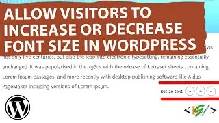 How to Allow Visitors to Increase or Decrease Font Size in WordPress | Easy Font Resize