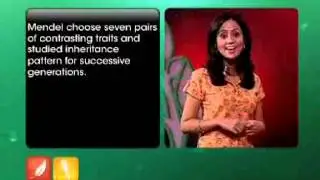 Topper Learning Videos