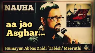 Aa jaao, Asghar e sheerkhwar #nohay #aliasghar #yamuhammed