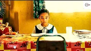 Colombiana 2011 | Movie recap | Magician Recaps Explains