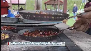Rowlesburg&rsquo;s Chestnut Festival honors the American chestnut tree