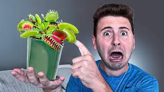 FUI ATACADO POR UMA PLANTA CARNÍVORA!!