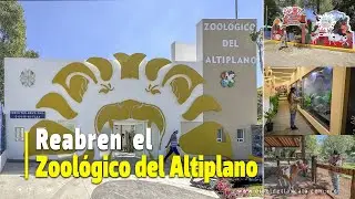Reabren el Zoológico del Altiplano