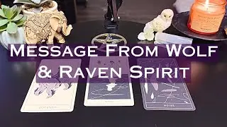 A Message from Wolf & Raven Spirit🐺🐦&zwj;⬛Pick A Card