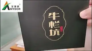 Amydor8025D paper box hot foil printing machine for Tea boxes