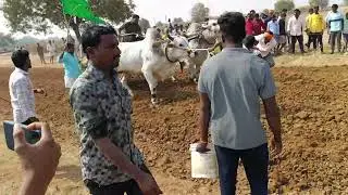 Second price balchad  Bulls 🔥😈