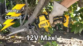 DeWalt 12V Max Compact Reciprocating Saw DCS312 Review and Demonstration