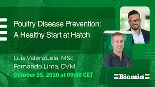 Poultry Disease Prevention: A Healthy Start at Hatch | Fernando Lima DVM | Luis Valenzuela MSc