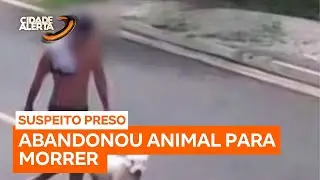Homem que abandonou pit bull amarrado em terreno em S&atilde;o Jos&eacute; do Rio Preto (SP) &eacute; preso