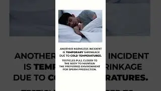 Reasons Your Testicle Appears to be Shrinking!