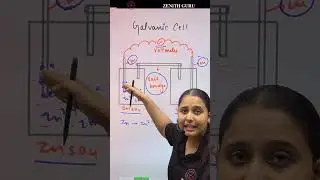 Galvanic Cell | Rapid Chemistry 028 | Class 12 | By Nikki ma'am #chemistry