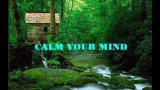 CALM YOUR MIND