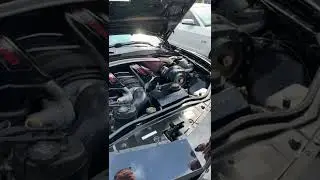 procharger pure sound