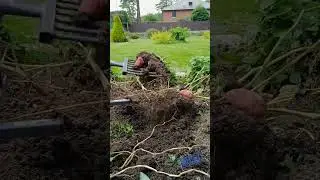 Картофелекопалка с упором, вилы для копки картофеля