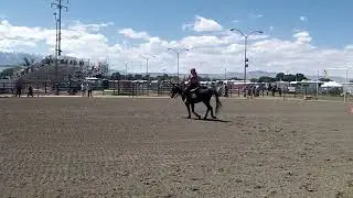 T & B am Mulemanship BMD 2023