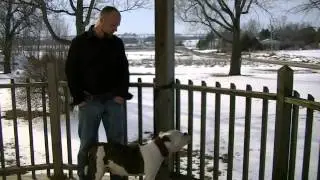 Rocsi Missing - Evolution Bulldogges