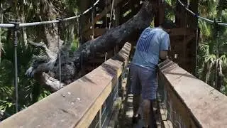  Myakka River in Spring  | From Flooded Gator Waters to Dry TrailsSpring at Myakka River State Park