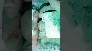 Gymchalk Snaps 💚 | please subscribe ❤️ #viral #shorts #oddlysatisfying #gymchalk