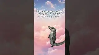 Me with my alarm clock sound #meme #sleep #alarm #funny #comedy #alligator #dance #relatable