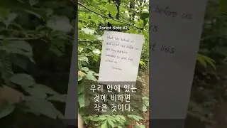 A Leaf a Day #2 지금 이 순간, 당신 안의 우주를 마주할 시간입니다