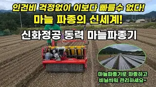 신화 동력 마늘파종기로 마늘 심고 비늘 씌우기-마늘파종기계
