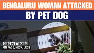 Bengaluru Woman Severely Injured by Pet Dog During Morning Walk | News9