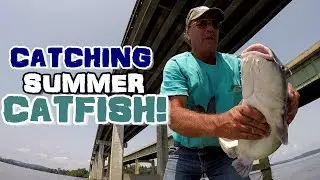 How To Catch Catfish In The Summer - Catfishing Techniques To Try!