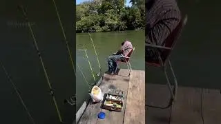 🤣 Спокойная рыбалка обернулась полным провалом