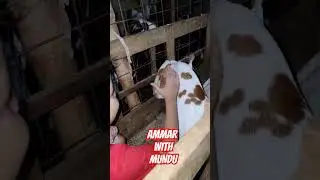 Ammar Ki Mundu Se Baaten😂