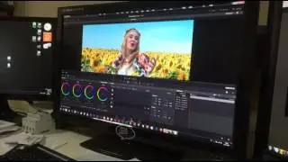 "A la rus" color grading davinci 12.5 by mr Pank company