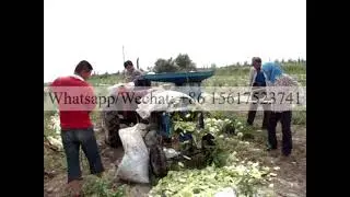 melon seed removing machine wintermelon seed picking machine pumpkin seed extractor seed processor
