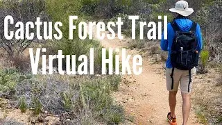 Cactus Forest Trail [4K Virtual Desert Hike]
