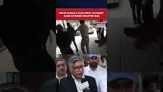 Delhi: Patiala House Court Grants Bail To Dhaula Kuan BMW Accident Case Accused Gaganpreet #shorts
