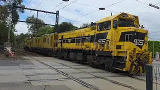 SSR P18 P16 Evie and Z3 class tram Kooyong tram square