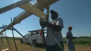 Drought benefits peach growers and irrigation companies