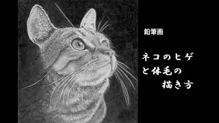 【鉛筆画】ネコのヒゲと体毛の描き方  How to draw a cat’s whiskers and body fur
