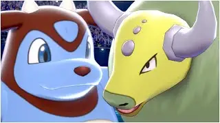 FULL COW & BOVINE POKEMON TEAM ! ( Miltank , Tauros , Bouffalant )