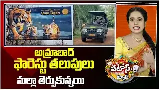 అమ్రాబాద్ ఫారెస్టు తలుపులు మల్లా తెర్సుకున్నయి | Amrabad Tiger Reserve | Patas News | 10TV