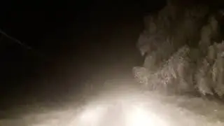 12.01.2019 - Starkschneefall mit Verwehungen bei Sankt Englmar im Vorderen Bayerischen Wald
