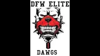 2017 TEXAS SELECT STATE CHAMPIONSHIP GAME | 10U DFW ELITE VS SA OUTLAWS