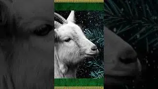 &iquest;Qu&eacute; se Hac&iacute;a Durante Yule? Sus Tradiciones y Rituales