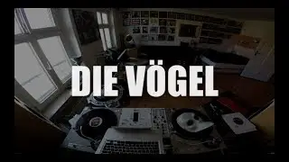 DJ Robert Smith & DJ Danetic - DIE V&Ouml;GEL (Scratch Session)