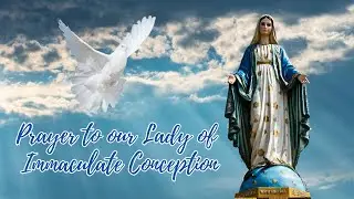 Prayer to Our Lady of Immaculate Conception