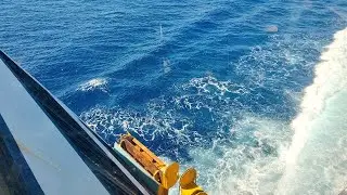 Mega Express Four CFSF | Livorno - Golfo Aranci (07/08/2025)