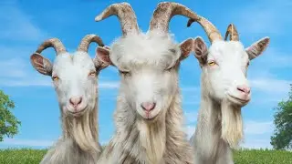 Goat Takes The Fastest Route Possible