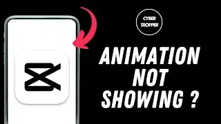 How to Fix Capcut Animation Not Showing