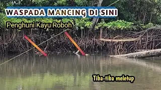 NGERIIIII !! AKAR BAKAU, Surga Tersembunyi Bagi Pemancing 😍😍 