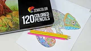 120 Lápices de colores Zenacolor | Primeras impresiones