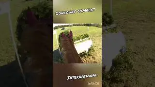 CCI 2*S Le Pouget - le biais #horse #equestrian #equitation #cheval #cross #eventing #saut
