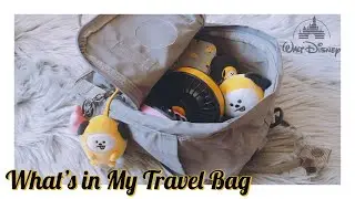What's in My Bag | Disney Parks Edition